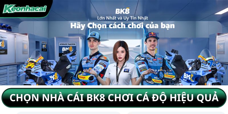 Chọn nhà cái BK8 chơi cá độ hiệu quả