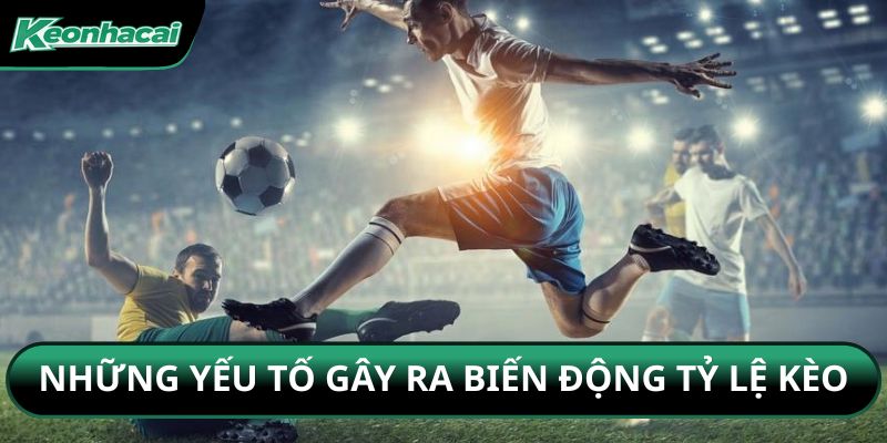 Những điều gây ra biến động tỷ lệ kèo